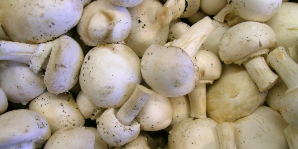 mushrooms_2.jpg